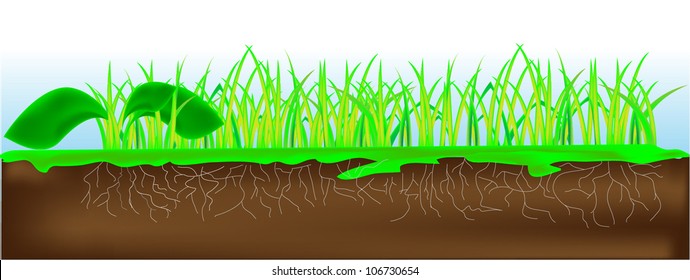 Grass Soil Vector Stock Vector (Royalty Free) 106730654 | Shutterstock