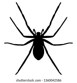 Grass Spider Clipart
