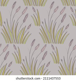 Grass with spikelets pattern. Plant, grass vector. Weeds illustration. For print.