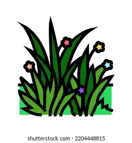 grass spring color icon vector. grass spring sign. isolated symbol illustration