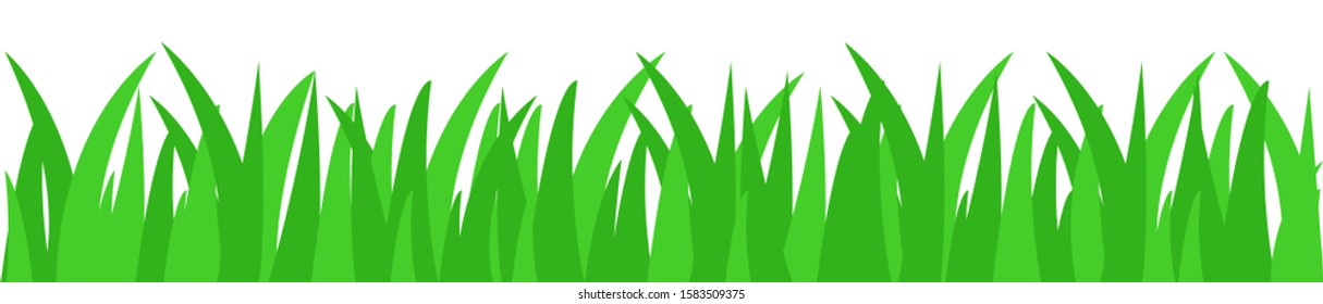 grass in spring nature on earth