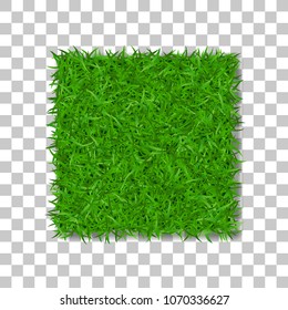 Grass square 3D. Beautiful green grassy field, isolated on white transparent background. Lawn abstract nature texture. Symbol natural, fresh, meadow plant, spring or summer Vector illustration
