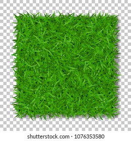 Grass square 3D. Beautiful green grassy field, isolated on white transparent background. Lawn abstract nature texture. Symbol natural, fresh, meadow plant, spring or summer Vector illustration