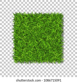 Grass square 3D. Beautiful green grassy field, isolated on white transparent background. Lawn abstract nature texture. Symbol natural, fresh, meadow plant, spring or summer Vector illustration