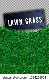 Grass square 3D. Beautiful green grassy field, isolated on white transparent background. Lawn abstract nature texture. Symbol natural, fresh, meadow plant, spring or summer Vector illustration