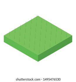 Grass square icon. Isometric of grass square vector icon for web design isolated on white background
