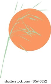 grass stalk and sun