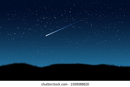 grass in starry night with shooting star