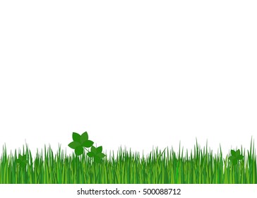 Grass. Summer background, Vector