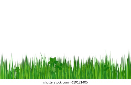 Grass. Summer (spring) background. Vector