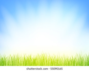 grass with sun shine over blue sky, copyspace for your text