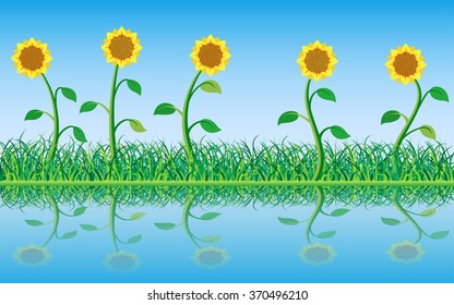 Grass and Sunflowers with Reflection in Water. Vector Illustration.