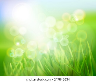 Grass in sunlight. Vector illustration.