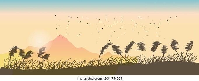 hierba y puesta de sol ,fondo de banner con un marco para tu texto