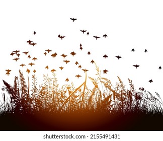 Grass at sunset with flying birds. Vector illustration