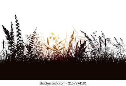 Grass at sunset. Vector illustration