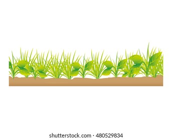 grass terrain field isolated icon vector illustration design