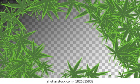 Textura de hierba. Resumen Diseño Orgánico. Colección Ganja transparente.  Textura Hashish Hemp. Antecedentes medicinales amarillos.  Textura de hierba. Ilustración Química Verde. 