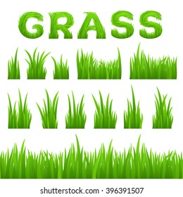 Grass texture design elements set isolated on white background. Collection of early spring green grass horizontal seamless grass row, grass bushes, grass inscription. Vector illustration