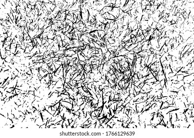 Grass texture. Nature background.Grunge texture. Grunge black and white vector overlay. Grungy grainy surface.