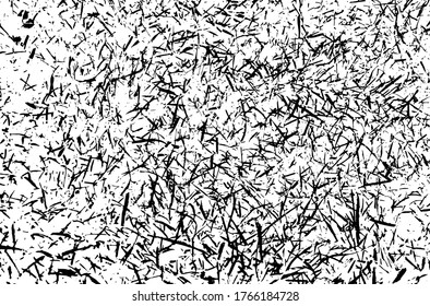 Grass texture. Nature background.Grunge texture. Grunge black and white vector overlay. Grungy grainy surface.