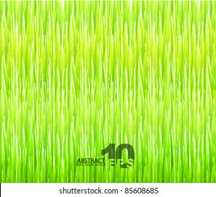 Grass texture. Vector nature abstract background