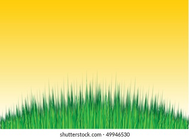 Grass theme