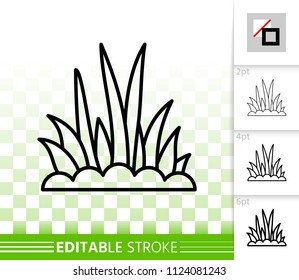 Grass thin line icon. Outline web sign of bush. Organic Plant linear pictogram with different stroke width. Simple vector symbol, transparent background. Green Grass editable stroke icon without fill