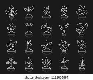 Grass thin line icons set. Outline web sign kit of plant. Sprout linear icon collection includes agriculture, seedling, sapling. Simple grass white contour symbol with reflection. Vector Illustration