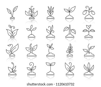Grass thin line icons set. Outline sign kit of organic plant. Sprout linear icon collection includes flower, gardening, ecology. Simple grass black contour symbol with reflection vector Illustration