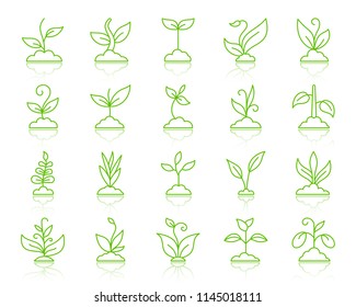 Grass thin line icons set. Outline vector monochrome web sign kit of plant. Sprout linear icon collection includes bean, soy, pea. Simple grass color contour symbol with reflection isolated on white