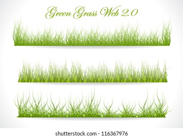 Grass. Three Template on White Background. Vector Illustration.