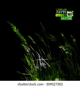 Grass tracing. Vector