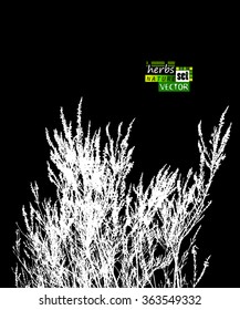 grass tracing. Vector