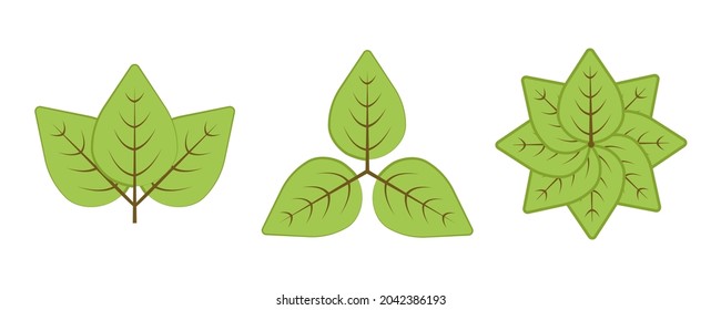 Grass, tree and branches vector icon set. Contains Such Symbols As Plant, Leaf. Editable Stroke. Colorful icon set.