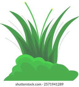 grass tree set isolated on white background. vector illustration.
