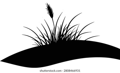 Grass tuft in sand dune silhouette