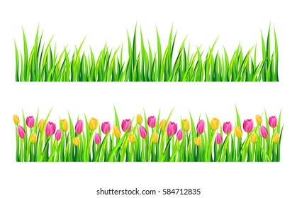 Grass and tulips borders set isolated on white background. Vector illustration.