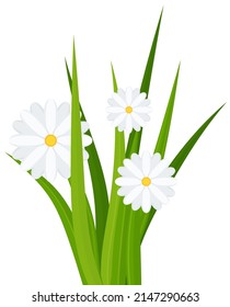 Grass, tulips and daises. Green flowering meadow. Spring and summer flowers. Flat vector illustration.