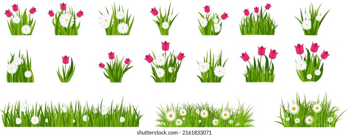 Grass, tulips and daises set. Green flowering meadow collection. Spring and summer flowers. Flat vector illustration.