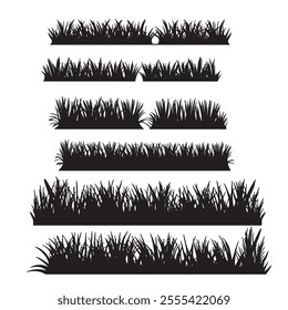 Grass is a type of narrow-leaved plant that grows in various climates around the world. It is part of the Poaceae family, which includes thousands of species.