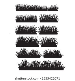 Grass is a type of narrow-leaved plant that grows in various climates around the world. It is part of the Poaceae family, which includes thousands of species.