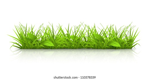 Grass, Vector