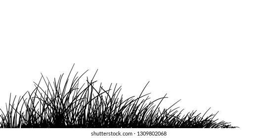 Grass, vector - Vector