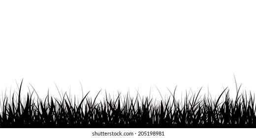 grass. Vector