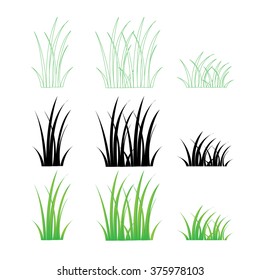 Grass Vector
