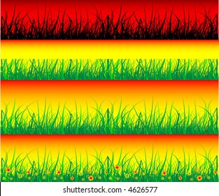  GRASS (vector)