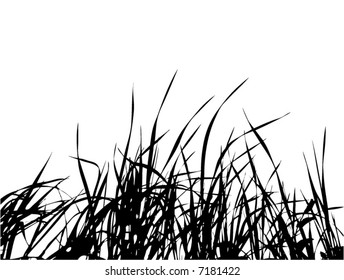 Grass Vector Background Stock Vector (Royalty Free) 7181422 | Shutterstock