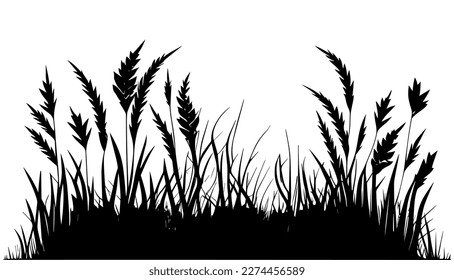 Grass vector black line illustration isolated white. Sketch art