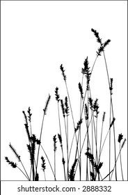 grass vector black silhouette. Ideally for your use